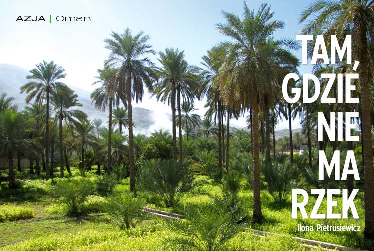 Losowy darmowy artykuł